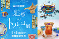 「魅惑のトルコ展」開催― 旅するように楽しむ一期一会の出会い、異国情緒あふれる茶器などの雑貨48点をフェリシモが販売開始
