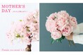 「母の日にお花のギフトなんて、ありきたりじゃない?」と思っている人こそ見てほしい。「ありがち」なものとはひと味ちがう、サプライズなお花が見つかるフェリシモ「しあわせを贈る母の日」がウェブ予約受付中