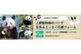 フェリシモ「パンダ部」が発足！ファンとつくる“究極のパンダ本”プロジェクトを始動。上野動物園の歴代パンダ写真、1000枚集まれば書籍化！