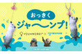 【鳥羽水族館コラボ第３弾】ラッコのメイちゃん＆キラちゃんの「イカ耳ジャンプ」を再現したキーポーチが、YOU＋MORE!［ユーモア］から新登場