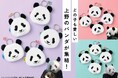 上野動物園の歴代パンダ13頭が勢ぞろい！カンカン・ランランから双子のシャオシャオ・レイレイまでそれぞれの顔を完全再現した「フェイスポーチ」がフェリシモ「パンダ部」から新登場