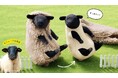あの“羊の毛刈り体験”ぬいぐるみに「サフォーク種」が仲間入り！ 黒い顔×白い体のギャップに驚く新作が、神戸市立六甲山牧場50周年を記念してフェリシモ「YOU+MORE!」から登場