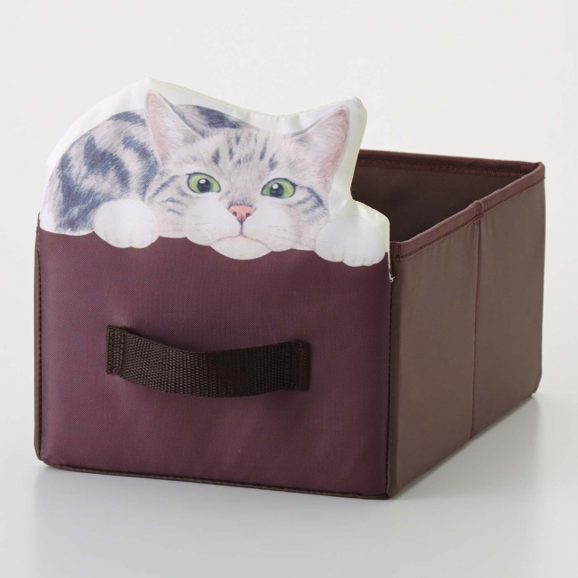 箱の中からひょっこり顔をのぞかせる「猫収納ボックス」が『YOU＋MORE！』×『フェリシモ猫部』のコラボで誕生 | 株式会社フェリシモのプレスリリース