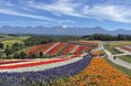 富良野のノゾホテル、夏休みに向け家族で楽しむ夏の自然と冒険に出会うプログラムを発表