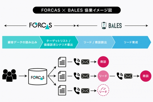BALES × FORCAS 協業イメージ