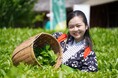 兵庫県内随一の茶どころ 丹波篠山でお茶を楽しむ 「第43回大国寺と丹波茶まつり」