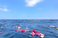 【沖縄県で初開催】海の上で考えたい「わたしの終活」 散骨体験クルーズin那覇