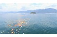 瀬戸内海での海洋散骨が人気 広島県で海洋散骨フランチャイズ事業開始