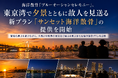 海洋散骨「ブルーオーシャンセレモニー」、東京湾で夕景とともに故人を見送る新プラン「サンセット海洋散骨」の提供を開始
