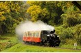 【千葉県市原市】"関東一遅い紅葉”を楽しむ「トロッコ列車で行く!観光ガイドと歩く紅葉の養老渓谷ハイキング」開催