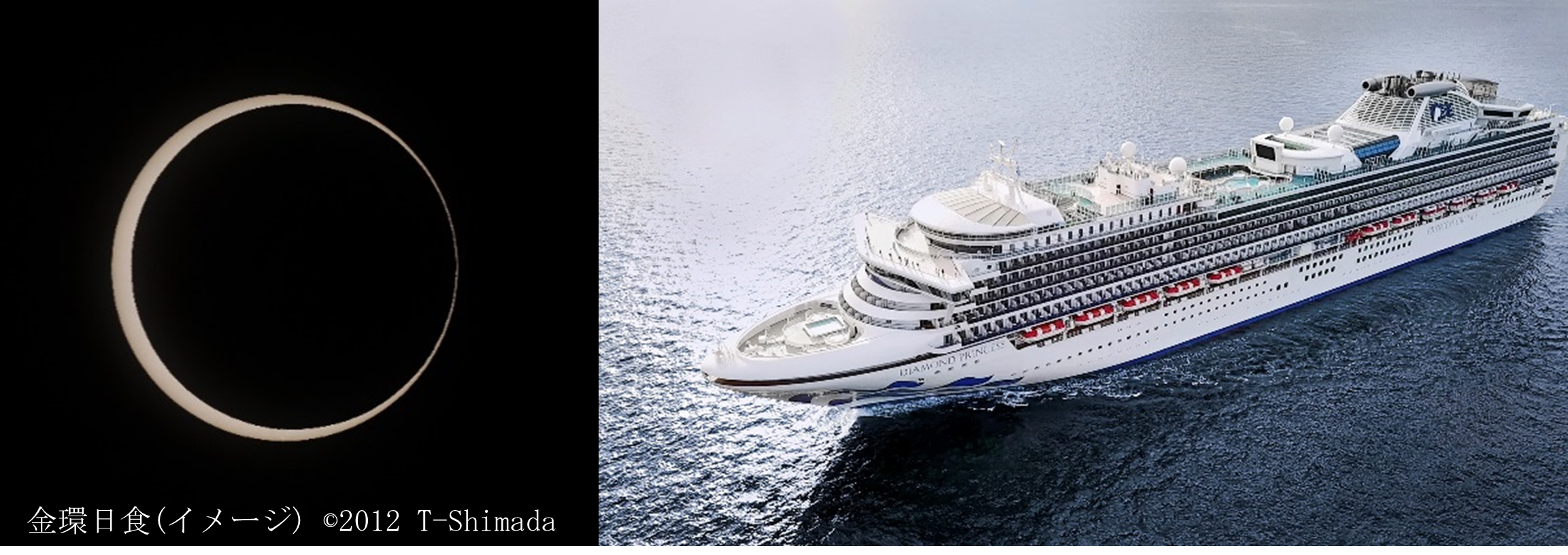 プリンセス・クルーズ、2020年日本発着クルーズのテーマクルーズに新たなプログラムが登場