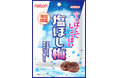 食べやすい種ぬきほし梅に岩塩をまとわせたすっぱくてしょっぱい、梅のおやつ「塩ほし梅」