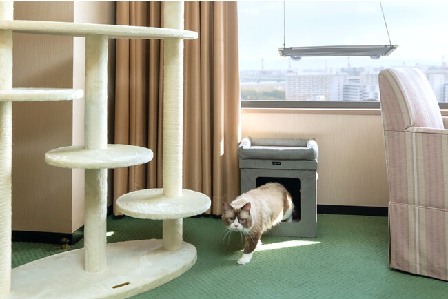 猫用ベッド 猫用ベッド
