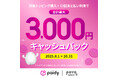 povo、お支払い方法にペイディの6・12回あと払いを追加