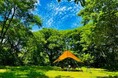 蓼科高原キャンプ場 地元食材を活かしたコラボ企画を販売開始
