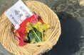 鳥取に縁も関心もなかったZ世代の若者大募集!地域の伝統文化や暮らしを体験し、発信する雛鳥プロジェクトを開催します