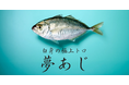 さかなドリーム、世界初の養殖魚「夢あじ」の本格販売を開始