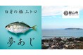 さかなドリーム、世界初の養殖魚「夢あじ」を館山市ふるさと納税返礼品として出品開始