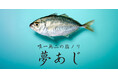 さかなドリーム、世界初の新品種「夢あじ」のテスト販売を開始