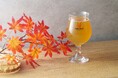 スプリングバレーブルワリー東京がジン蒸溜残渣を活用したクラフトビール「秋三昧 ～GOTOGIN Botanical～」を9月14日より限定発売