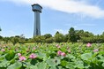 「行田タワー全国発射プロジェクト」に向けたクラウドファンディング型ふるさと納税と企業版ふるさと納税での寄付募集中!!来年3月には「行田タワーお披露目式」も実施予定!!