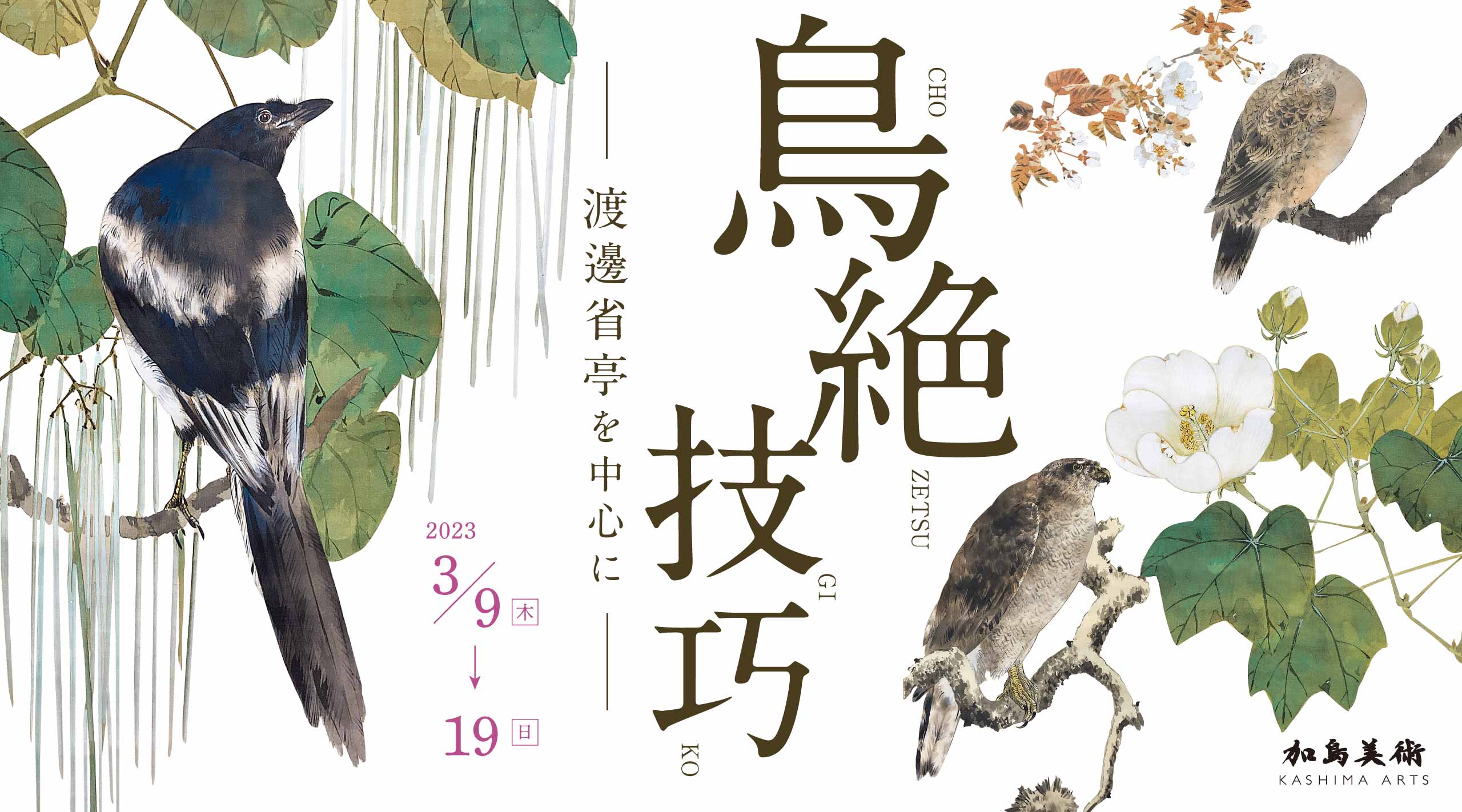 花鳥画の世界1~11巻 花鳥画の世界1~11巻 【公式通販】