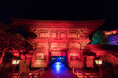 日本三大稲荷 祐徳稲荷神社に幻想的な夜の参拝体験を期間限定で演出