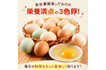 【横須賀市ふるさと納税】直売所以外では入手困難!知る人ぞ知るこだわりのブランド卵!健康・美容志向の“幸せの青い卵”も~農業×女性活躍で受賞歴もある安田養鶏場より~