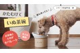 待望の【第二弾】この使いやすさを愛犬に!「かたむけて いぬ茶碗」