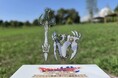 兵庫県立淡路島公園アニメパーク「ニジゲンノモリ」「ドラゴンクエスト アイランド いにしえの魔神と導かれし冒険者たち」終了直前キャンペーン 第3弾