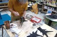 「ゴジラ」シリーズの美術制作を手掛けてきた東宝映像美術が制作する世界に100個だけの限定グッズが降臨ゴジラ迎撃作戦『ゴジラ-1.0』 背びれ付きプレミアムチケット