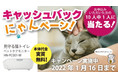 猫用システムトイレ型「ペットケアモニター」キャッシュバックキャンペーンを開始