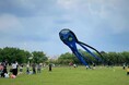 【東京都板橋区】大空を彩る1,000の凧!荒川河川敷の親子たこあげ大会を開催