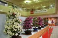 百花繚乱！満開に咲き誇る「さつきフェスティバル」開催