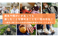 いつか「行きたい」を、今「行ける」へ。医療従事者が付き添う国際クルーズ船旅行プランがスタート