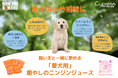 2月3日「にんじんの日」特別企画 <ニンジンジュース試飲会開催>&<ECサイトで「購入額相当ポイント還元キャンペーン」実施>