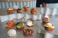 横浜地区初出店【I'm donut?】と【dacō】10/17(金)同時オープン