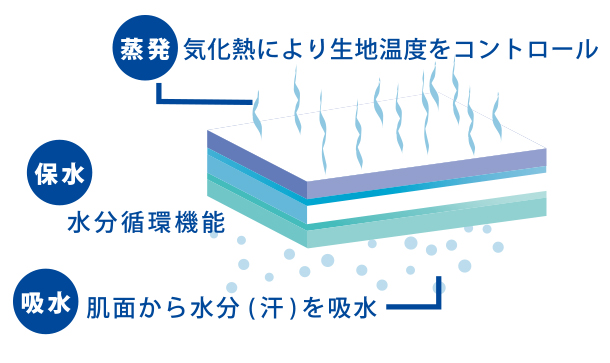 冷感効果の秘密