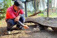 水族館や動物園で暮らす動物たちの「家族」になれる「OHANA SHIP」の提供を開始