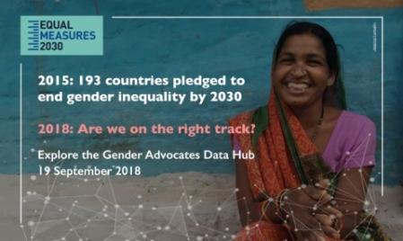 2015年に193カ国が2030年までにジェンダー平等の達成を約束