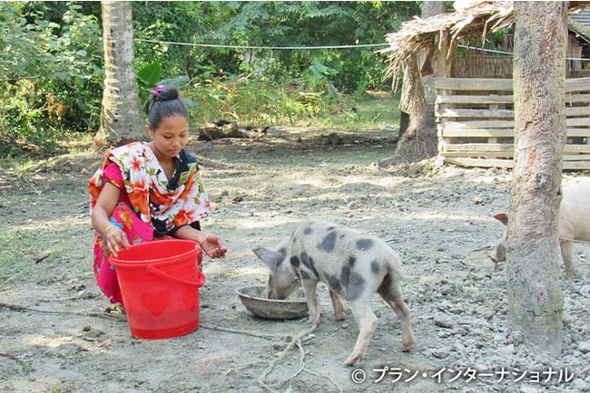 養豚により収入を得ることができるように なった女性（バングラデシュ）