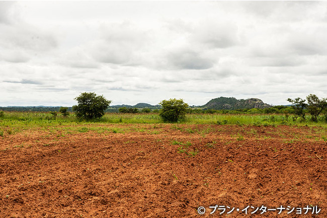 干ばつと洪水に見舞われた農地（ザンビア）