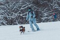 わんちゃんだけお留守番はもう終わり!広大な雪のゲレンデをわんちゃんと一緒に滑れるスキー場 黒姫高原スノーパークが今シーズン12月21日(土)にオープン!