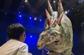目の前に恐竜が！夏休み特別体験！DINO-A-LIVEダイナソーサマーキャンプ開幕！