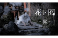 ダンスカンパニーDAZZLE結成30周年代表作『花ト囮（はなとおとり）』を新たに再構築！池袋あうるすぽっとにて7月上演決定！