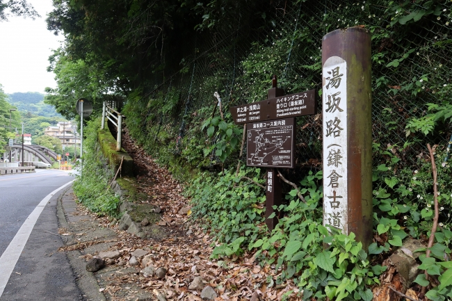（コースの一例）「箱根・千条の滝から湯坂路（鎌倉古道）」※イメージ