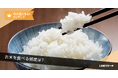 【LINEリサーチ】7割超が「ほぼ毎日」お米を食べている!自宅でのお米の食べ方は「炊飯器で炊く」が9割近く