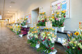 【宗像フェス2025】アーティストにお花を贈ろう!「FLOWER SMILE PROJECT」始動