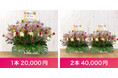 【宗像フェス2025】アーティストにお花を贈ろう!「FLOWER SMILE PROJECT」販売は10/22まで!エリアが限られているため先着順で販売終了。残り僅かです!