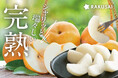 強い甘み!「信州育ちの南水梨」販売開始 ~売り切れ続出のRAKUSAIの梨、今年最後~
